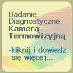 Diagnostyka Termowizyjna Bydgoszcz